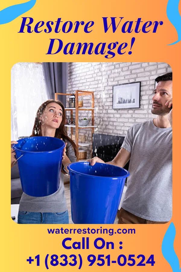 water restoration Titan Extraction Brothers Germantown
