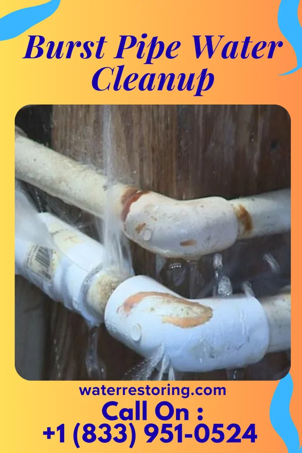 Burst Pipe Water Cleanup in Germantown, WI